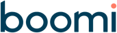 Boomi_2-Color_Logo_Positive
