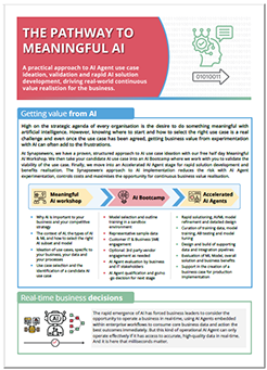Maingful AI_Capability_Nov 24_SM